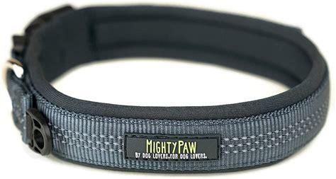 8 Best Dog Collars For Sensitive Skin - WAF