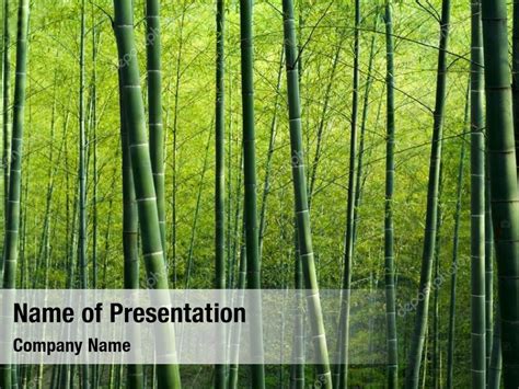 Green bamboo with forest PowerPoint Template - Green bamboo with forest PowerPoint Background