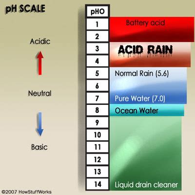 Acid Rain - Environmental Chemistry Awareness