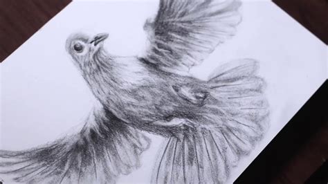 How to Draw a Flying Dove - YouTube