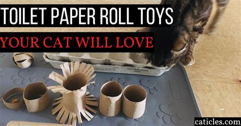 Cat Enrichment Toys Diy | Wow Blog