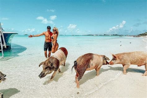 2023 Swimming Pigs Full Day Exuma Boat Tour