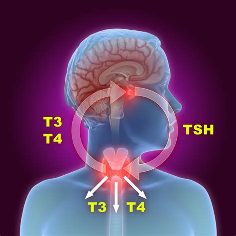 How Compounding Pharmacies Aid in Thyroid Hormone Replacement