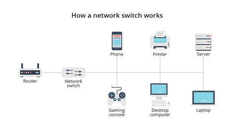 What Are the Different Types of Network Switches? | FS Community