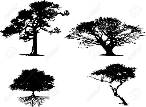 Ceiba clipart 20 free Cliparts | Download images on Clipground 2024