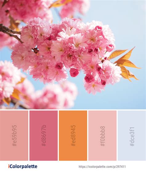 Color Palette ideas from 1804 Blossom Images | iColorpalette | Color ...