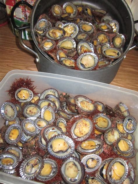 opihis HAWAIIAN STYLE FOOD! Limpets or sea snails. I've pried them off and eaten them right off ...