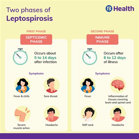 Leptospirosis Symptoms