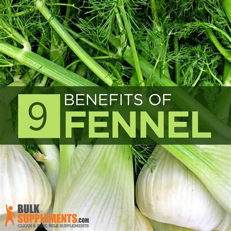 Fennel Seed: Benefits, Dosage & Side Effects