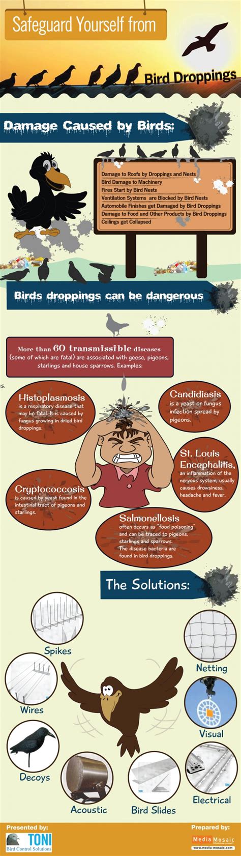 Preventing Bird Droppings: Effective Strategies for Bird Control ...