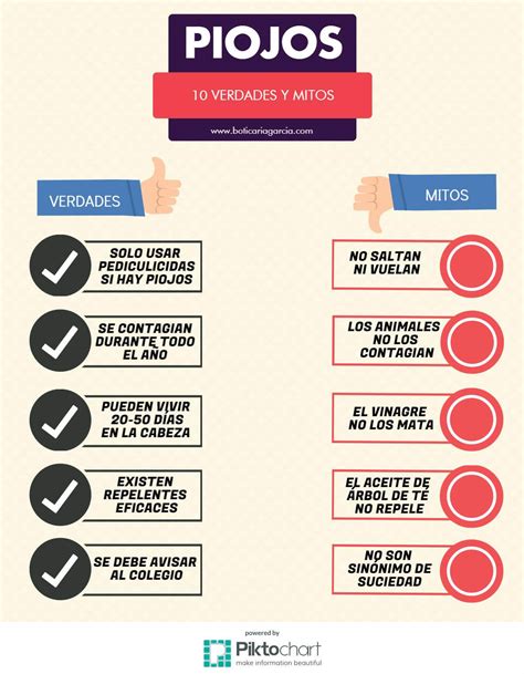 Cómo eliminar los piojos de forma rápida y eficaz - Club de Malasmadres