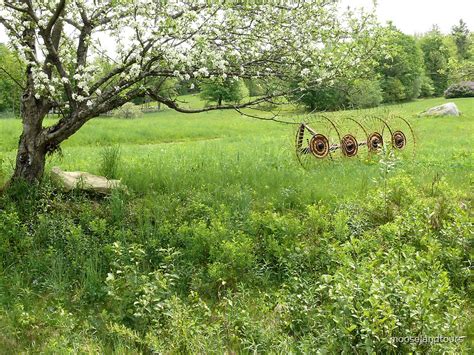 "Spring Farm Scene" by mooselandtours | Redbubble