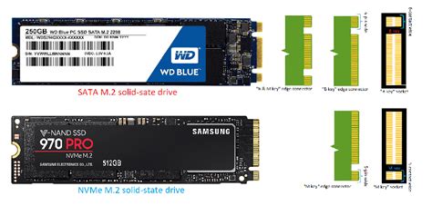 Vs NVME: What's The Difference?, 51% OFF | www.elevate.in