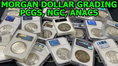 Morgan Dollar Grading Unboxing: PCGS, NGC, ANACS Guess The Grade - Coin Grading Practice - YouTube