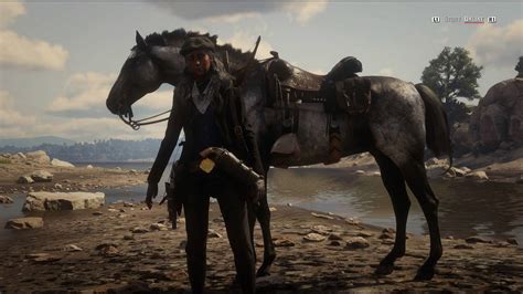 Best horses - Red Dead Online - RDR2.org Forums