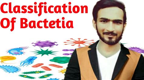 classification of bacteria - YouTube