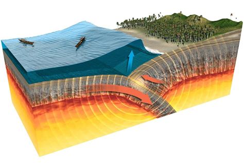 Tsunami illustration | Geography, History infographic, Tsunami