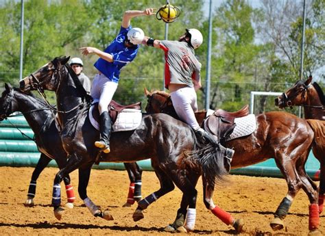 Horse Ball | Horses | Pinterest | Sport equestre, Photos de chevaux, Équestre