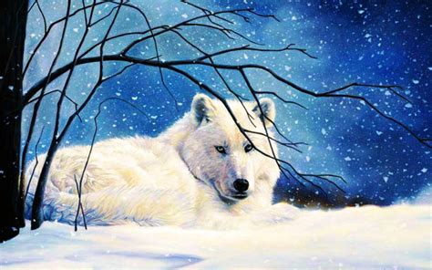 Arctic Wolf Wallpaper - WallpaperSafari