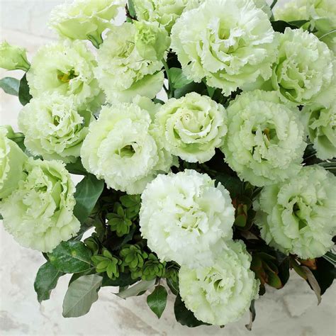 Lisianthus Flower Arrangements