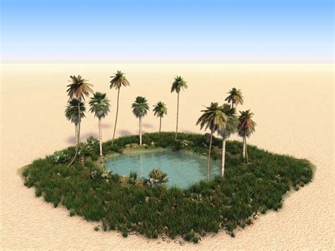 What Is an Oasis in the Desert? | Desert oasis, What is an oasis, Oasis