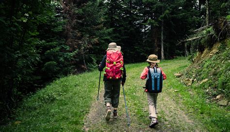 Hiking With Kids: Tips for a Safe and Fun Adventure | GORE-TEX Brand