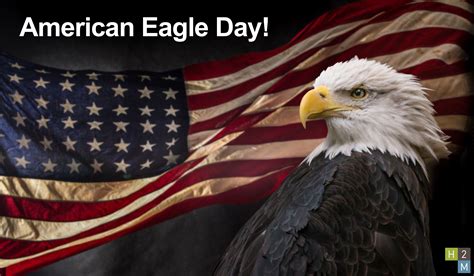 Today is National American Eagle Day! Today is designed to honor our national symbol, and raise ...