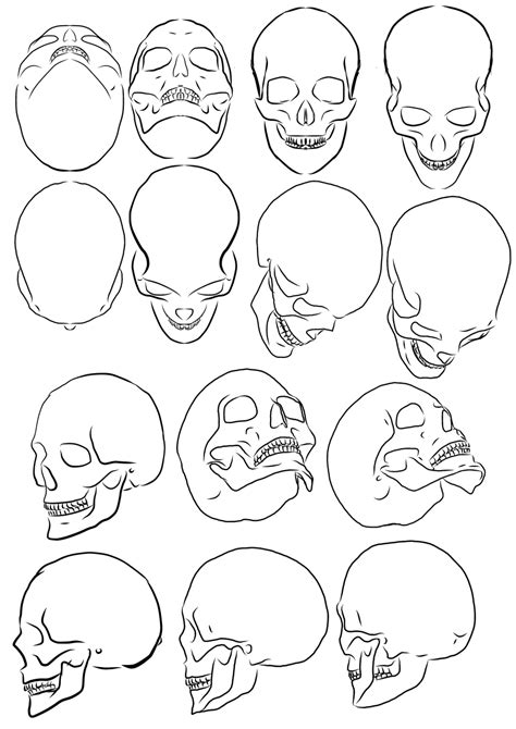 Skull Outline Clip Art Simple Human Skull Drawing Cli - vrogue.co