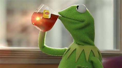 The Kermit Lipton Tea Meme, Explained