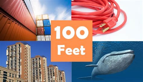 13 Things That Are 100 Feet (ft) Long – dimensionofstuff.com