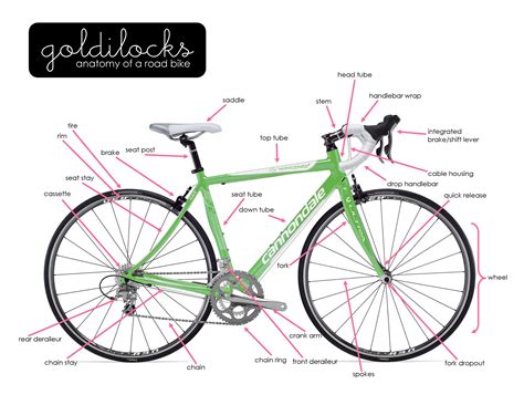 Anatomy of a Bike | Goldilocks Women Only Bike Ride | Road bike, Best road bike, Bike riding ...