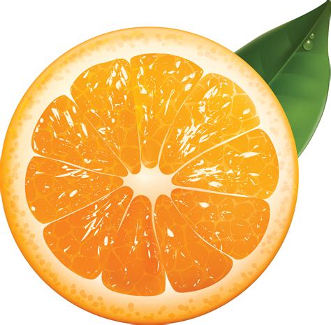 Orange PNG Image - PurePNG | Free transparent CC0 PNG Image Library