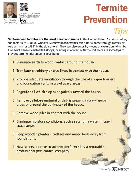 Termite Prevention Tips