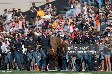 Colorado Buffaloes Mascot Photos and Premium High Res Pictures - Getty Images