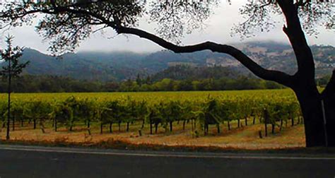 Napa Valley Wine Tours | Pure Luxury Transportation