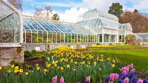 Free Admission to Volunteer Park Conservatory | Seattle Area Family Fun ...