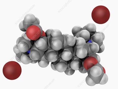 Pancuronium bromide drug molecule - Stock Image - F004/7261 - Science Photo Library