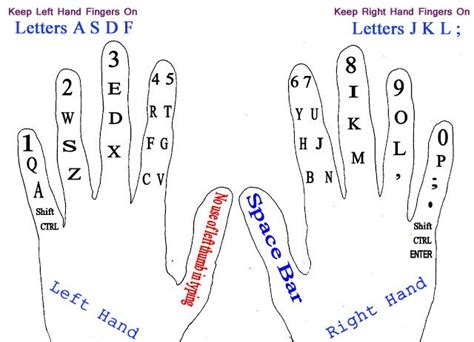 right fingers keyboard - Google Search | Typing skills, Typing tutorial, Computer basics