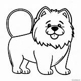 Fluffy Chow Coloring Page 48244 38142 sketch template