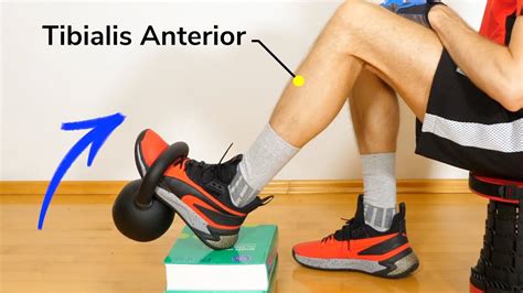 Tibialis Anterior Exercises