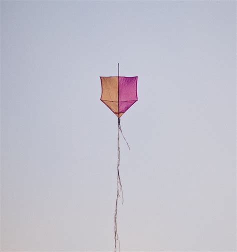 Kites Flying Under Blue Sky · Free Stock Photo