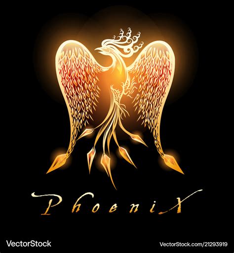 Burning phoenix bird on black background Vector Image