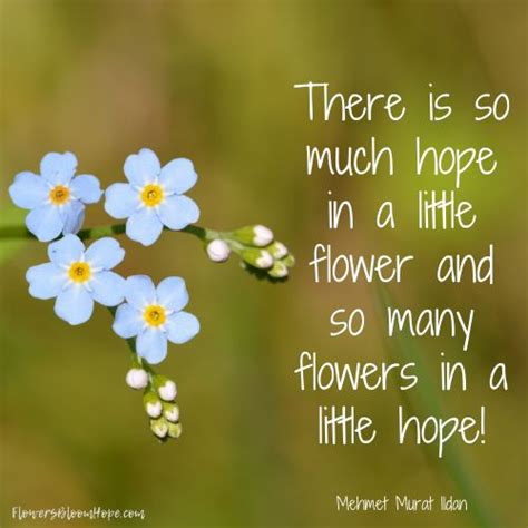 Little Flowers of Hope | Flower quotes, Quotes about flowers blooming, Hope flower