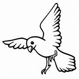 Cute Pigeon Bird coloring Page  Download Print Or Color Online For Free sketch template