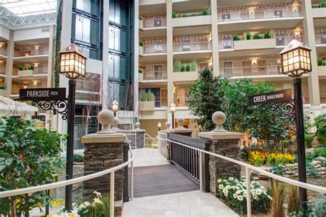 Indoor Atrium Trees & Plants at Senior Living Community | TreeScapes ...