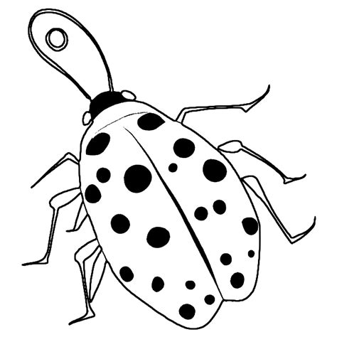 Ladybug Coloring Page · Creative Fabrica