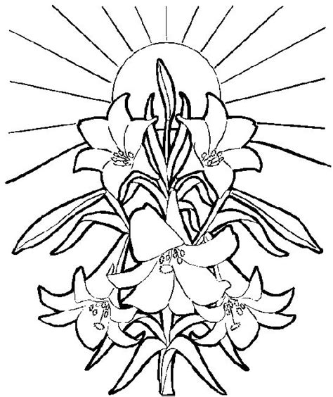 Easter Lilies Clip Art - ClipArt Best