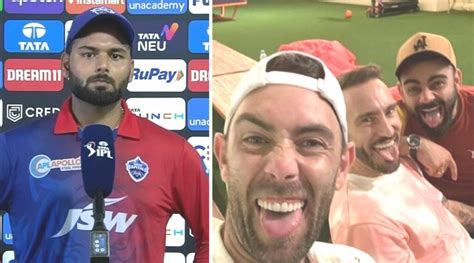 Watch: Virat Kohli, Faf Du Plessis, Glenn Maxwell celebrate Delhi ...