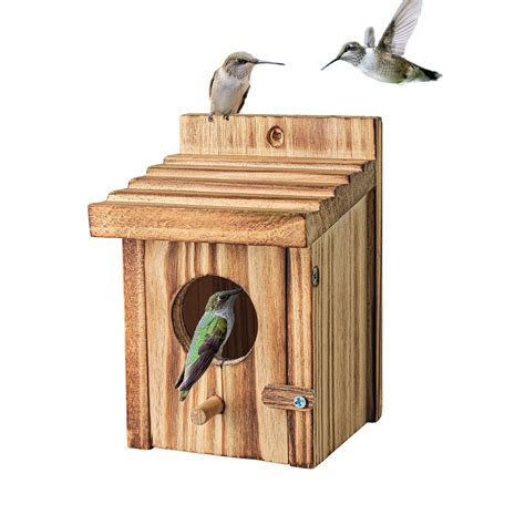 10 Best Robin Bird Houses for Your Garden: Top Picks and Buying Guide - Hummingbirds Plus