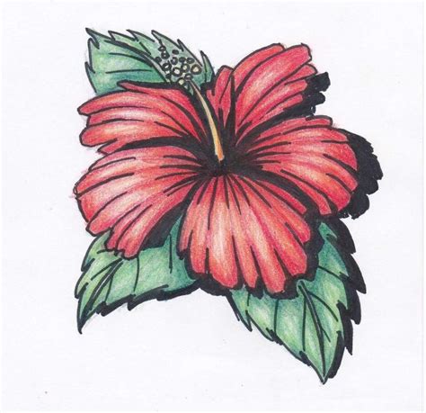 Free Hawaiian Flowers Drawings, Download Free Hawaiian Flowers Drawings ...